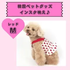 SALE★新品★わんこ服　ハート　ワンピース　ペット ドッグウェア 犬 服　猫