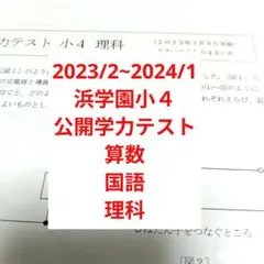 2026年最新】浜学園 公開テスト 小4の人気アイテム - メルカリ