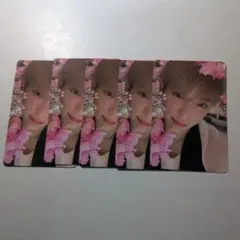 &TEAM HARUA ハルア 雪明かり トレカ まとめ売り