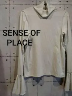 SENSE OF PLACE　アーバンリサーチ　トップス　カットソー　長袖