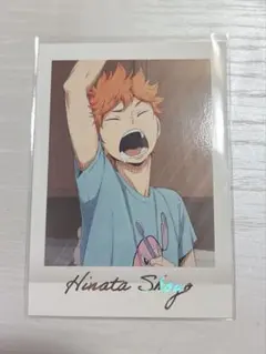 ハイキュー ぱしゃこれ Premium vol.3 日向翔陽