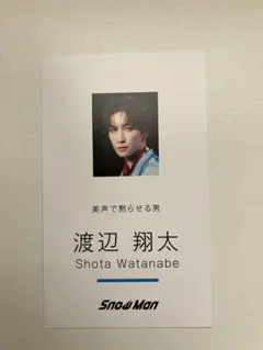 Snow Man 渡辺翔太 デンホリ 名刺カード ID風フォトカード社員証2枚③