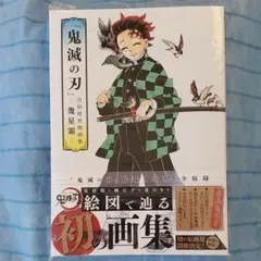 『鬼滅の刃』吾峠呼世晴画集―幾星霜―