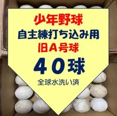 Item thumbnail for item c728d38c-815c-4a76-bb31-febb4374e45c