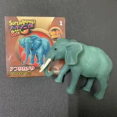 アフリカゾウ　ブックレット スーパーアニマル　&co デアゴスティーニ　アンドコ