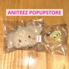 ATEEZ ユノ ANITEEZ トュドンイ POPUP ランダムカプセルトイ