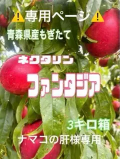 青森県産 ネクタリン【ファンタジア】ナマコの肝様専用②