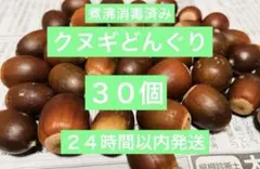 クヌギどんぐり　30個