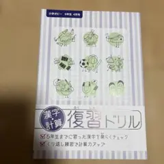 ポピー　小学5年生　漢字　計算　復習ドリル