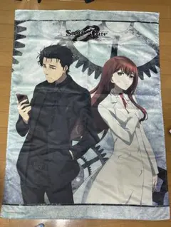 シュタインズゲート マンガ　22冊　＋　ビッグ缶バッジ　ほぼ初版 シュタインズゲート マンガ 22冊 ＋ ビッグ缶バッジ ほぼ初版