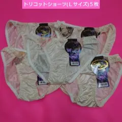 ②トリコットショーツ (ＬＬサイズ) ５枚セット
