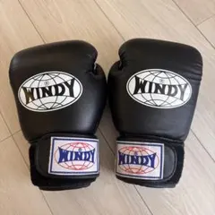 WINDY ボクシンググローブ BGVH 8oz ブラック 最終値下げのサムネイル