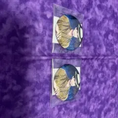 ヒプノシスマイク ヒプマイ オンラインくじ 缶バッジ 天谷奴零