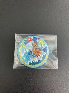 ディズニー 刺繍缶バッジ リロ・アンド・スティッチ