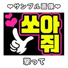 satori様 リクエスト 2点 まとめ商品