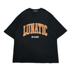 ALDIES アールディーズ LUNATIC BIG T ビッグTシャツ