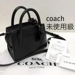 コーチ 5692 ミニトートバッグ シボ革 ブラック 極美品 - メルカリ