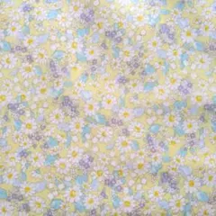 Item thumbnail for item a15d403e-0507-40b0-8416-d411b41a328d