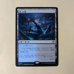 MTG　湿った墓
