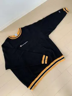 Champion ロゴ刺繍ロンT