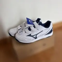 Item thumbnail for item d2bffa52-fee4-4cc8-a1f2-39103f5b1507