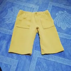 ファミリア☆ハーフパンツ　電車刺繍100