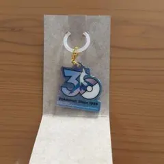 ポケモン ポケチャーム 30周年 ロゴマスコット ラティオス