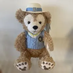Disney Parks ダッフィー 探検家ぬいぐるみ 約32cm - メルカリ