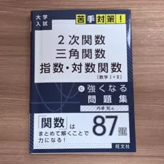 2次関数 三角関数 指数・対数関数に強くなる問題集