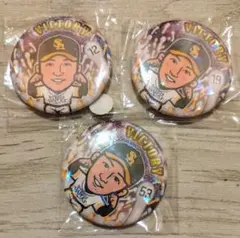 福岡ソフトバンクホークス 若鷹ガチャ 勝利ver. 3個セットのサムネイル