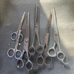 Item thumbnail for item 82cbb59b-3d51-4a95-a660-675d989741ee