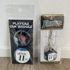 北海道日本ハムファイターズ 大谷翔平