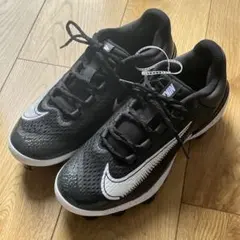 Item thumbnail for item b11d77b4-07fa-42d5-b783-87df36de978d