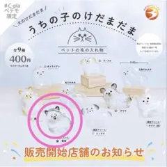 うちの子のけだま 黒柴　限定アソート