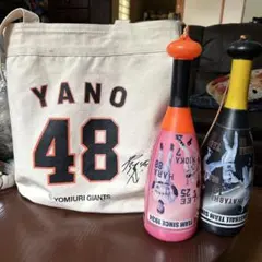 巨人時代　矢野謙次　直筆サインボール　ケース付き 巨人時代 矢野謙次 直筆サインボール ケース付き 2025年最新
