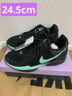 新品 24.5cm NikeJa 2 ティファニー