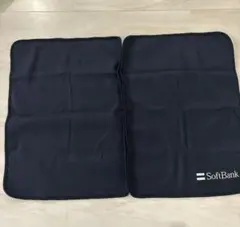 Item thumbnail for item af6060c7-b549-4abe-87c6-85260a6a40ec