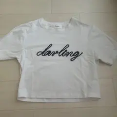 Darich ダーリッチ ロゴ 半袖Tシャツ ホワイト - メルカリ