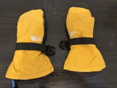 Item thumbnail for item 730f2dfb-9f4f-4878-bedd-33157cdd4ac7