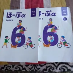 【最新版 美品】ほーぷ　標準編　BOOK6（小学6年生用）12冊セット Amazon.co.jp: ほーぷ BOOK6 算数 ドリルとテスト 小学6年生 小6