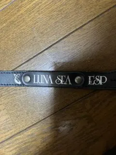 レア ESP LUNA SEA 楽器モチーフ 本革 キーホルダー 3連チャーム