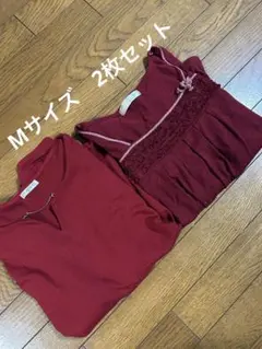 Item thumbnail for item 6edc6d00-9bc5-4fed-a81c-6936095680b6