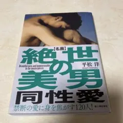 絶世の美男 同性愛 平松洋