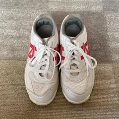 体育館シューズ 体育器具