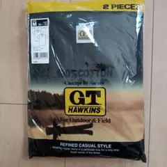 グンゼ GTホーキンス GTHAWKINS VネックTシャツ 2枚組 M 新品