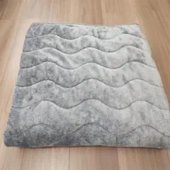 トップバリュ♡あったか敷きパットシングル