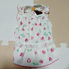 ペットパラダイス　DSSサイズいちご柄フリル付き犬服 新品タグ付き