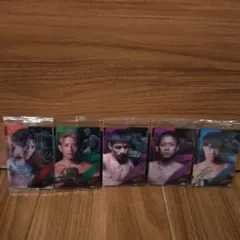 RIZINウエハースカード