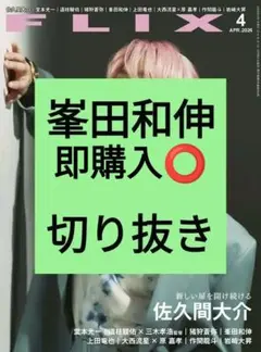 FLIX plus Vol.44 中村倫也 特集 チェリまほ 赤楚衛二 町田啓太 - メルカリ