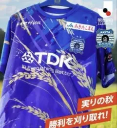 ブラウブリッツ秋田 ユニフォーム